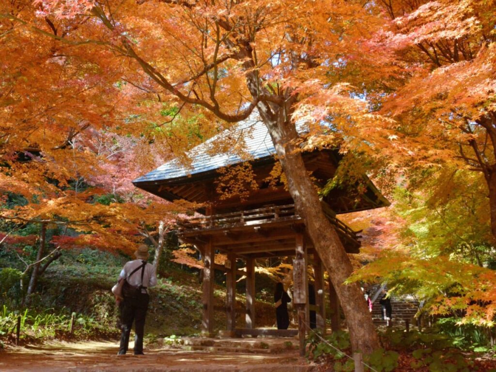 山口県の市で「治安がいい」と思う市ランキング！ 2位「山口市」を抑えた1位は？ 【2025年調査】 - All About ニュース