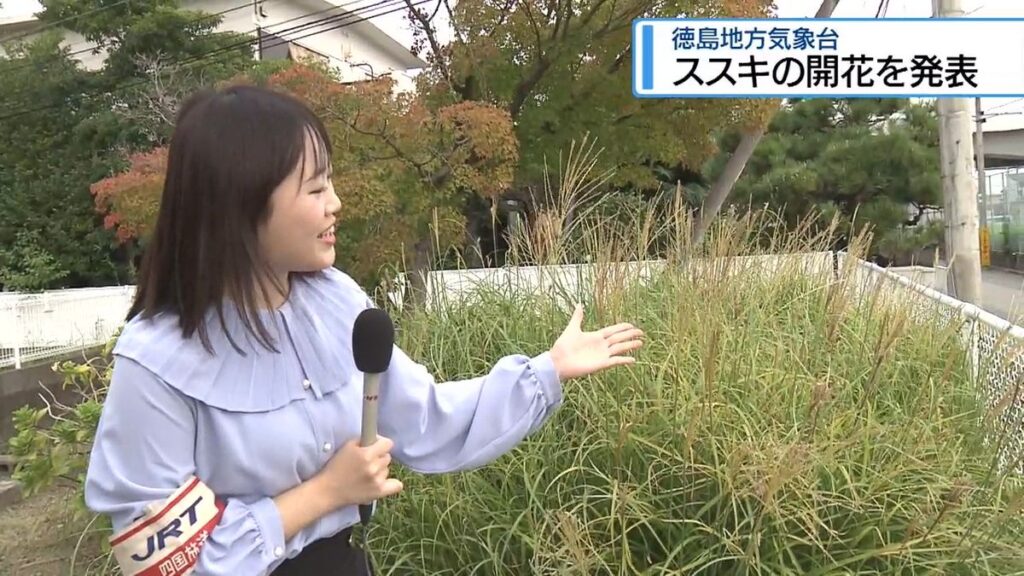 共有