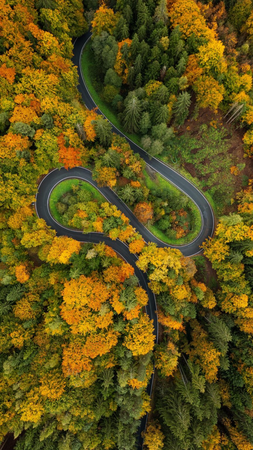 シュンペルクのすぐ後ろにある秋 📸🍁🍁