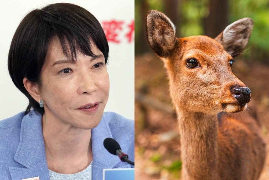「高市さんは1000年以上シカと生きてきた奈良市民ではない」高市早苗氏の“シカ愛国発言”に生粋の地元民が物申す「奈良のシカは野生」「むしろシカに襲われた観光客が緊急搬送も」