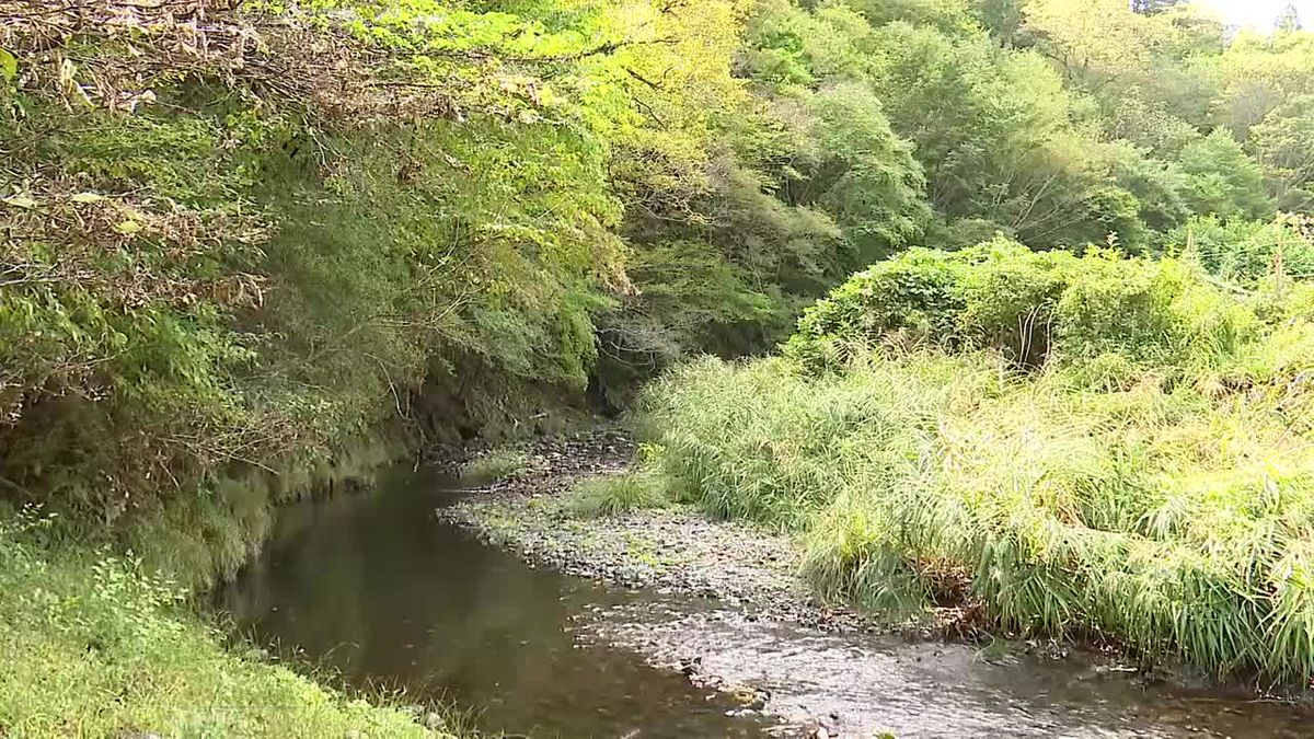 山菜採りの女性死亡　滑落か　岩手県山田町