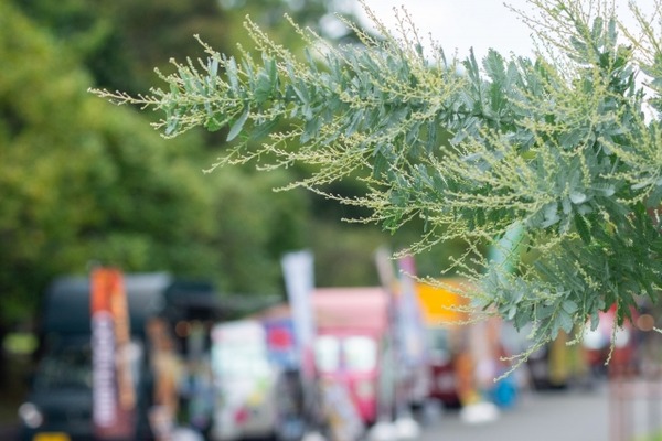 トヤメキハロウィン3