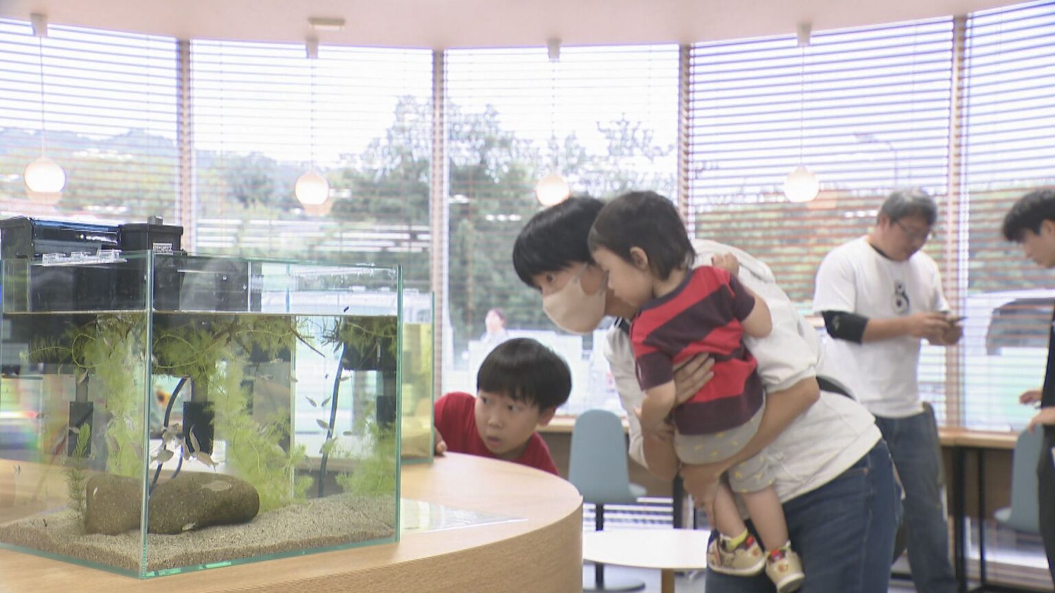淡水魚の「移動水族館」　レストランにお目見え　香川 | KSBニュース | KSB瀬戸内海放送