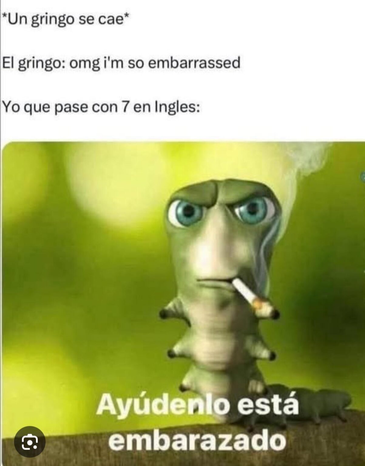 🤣🤣🤣🤣🤣