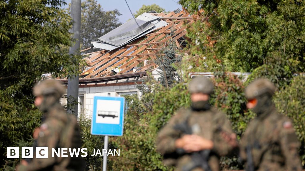 【解説】 故意か偶然か……ロシア無人機によるポーランド領空侵犯　NATOにとっての試練に - BBCニュース