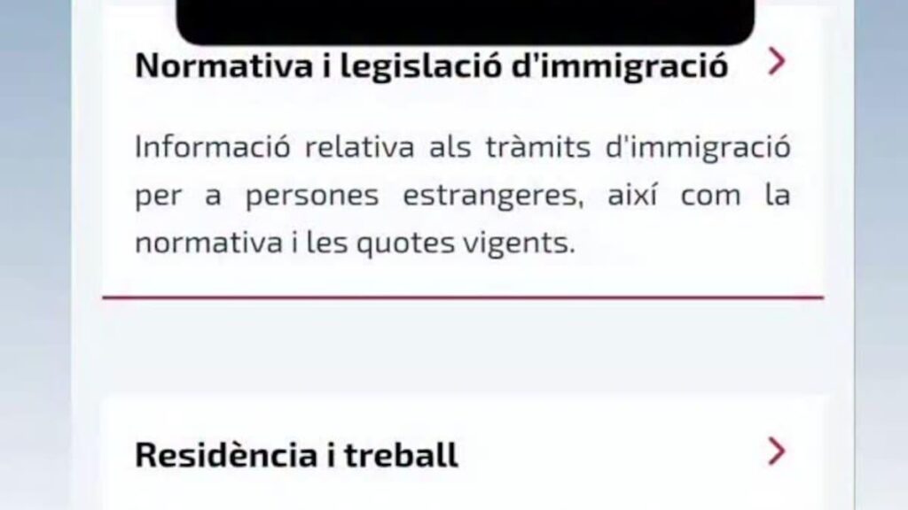 移民は、帰りのチケットなしで230枚の一時チケットの到着を拒否します