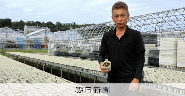 壊れた生活、見通せぬ再建「夢じゃないかと」静岡竜巻から1カ月 [静岡県] - 朝日新聞