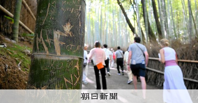 京都・嵐山の「竹林の小径」で落書き被害増加　市は一部伐採を検討 [京都府]：朝日新聞