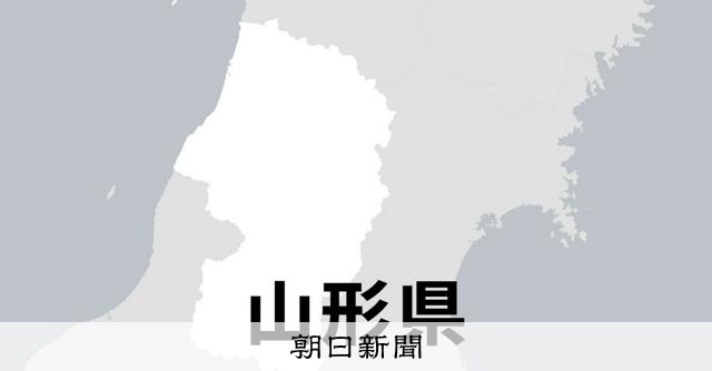 野球部寮で暴力行為か、動画が一時SNSに　山形・酒田南が活動休止 - 高校野球 [山形県]：朝日新聞