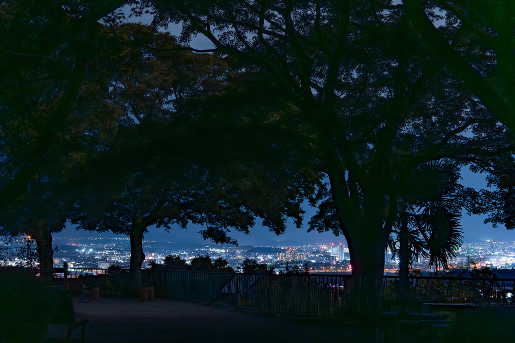 「鎮守の杜ナイトウォークinやわた」の夜景の画像