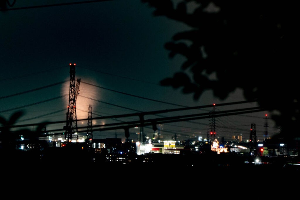 「第37回 なにわ淀川花火大会」　八幡から撮影した画像