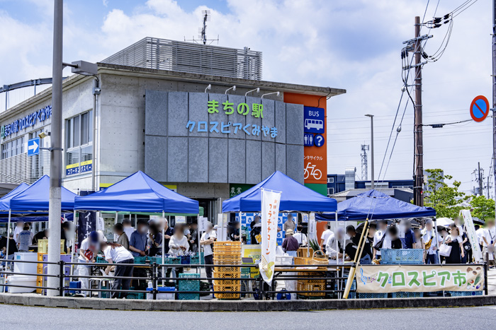 ホワイトコーン祭りの画像１
