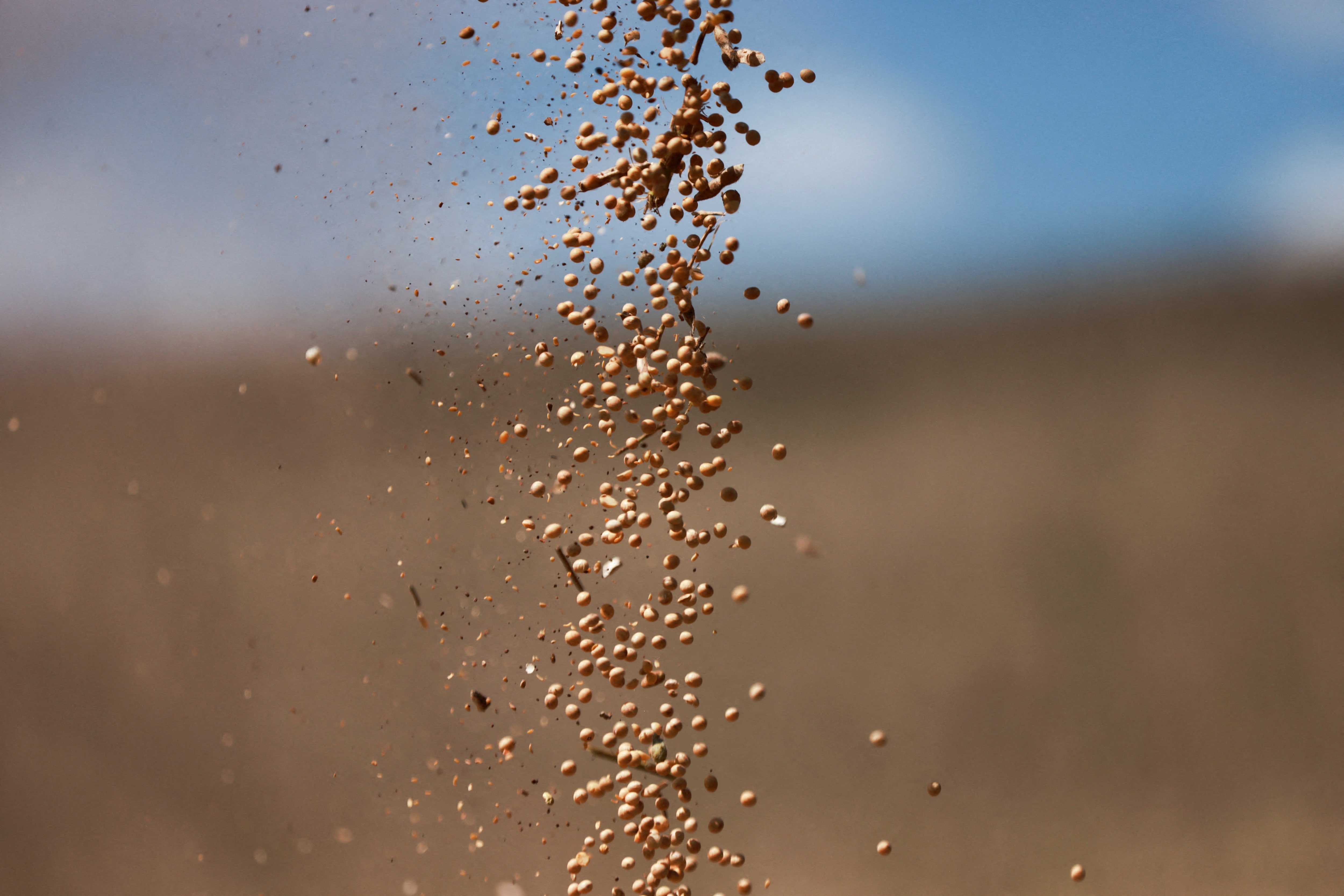 ブラジルの大豆輸出、中国の強い需要で過去最高更新へ