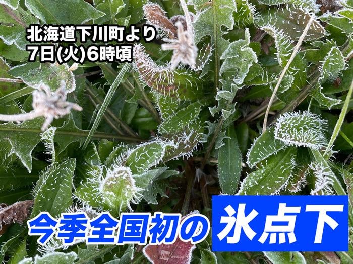 今朝は今季全国で初めて氷点下の冷え込み 関東も昼間は昨日より気温大幅ダウン