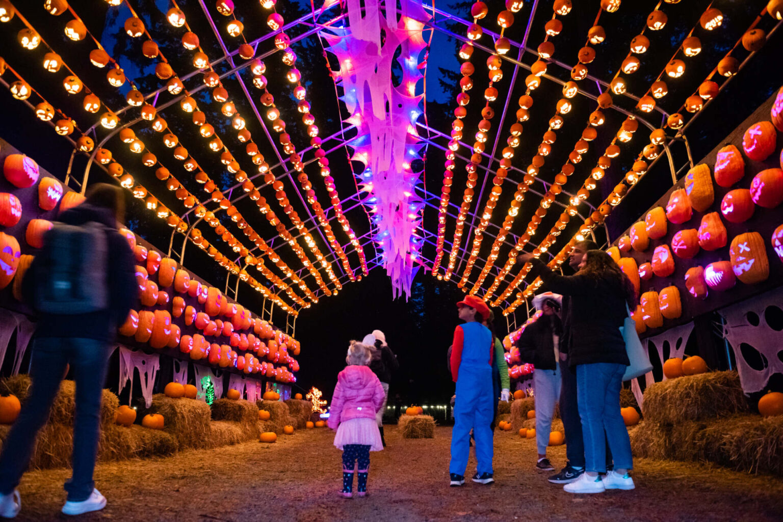 パンプキンズ・アフター・ダーク(Pumpkins After Dark)2025 - LifeVancouver カナダ・バンクーバー現地情報