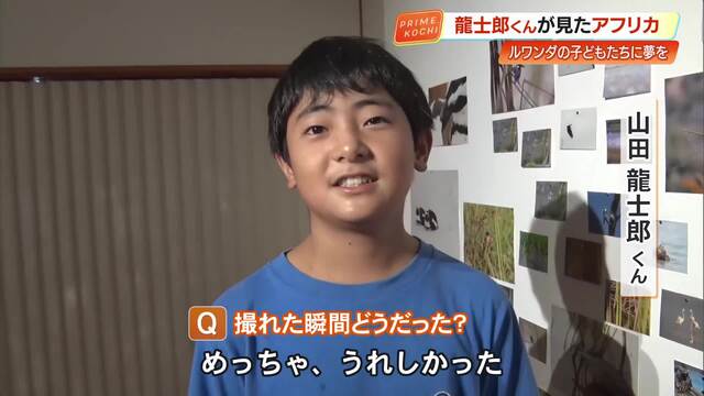 11歳の写真家・山田龍士郎くんが捉えた鮮やかなアフリカの鳥たち　 大月町「COSA」で写真展 « 高知のニュース - 高知さんさんテレビ