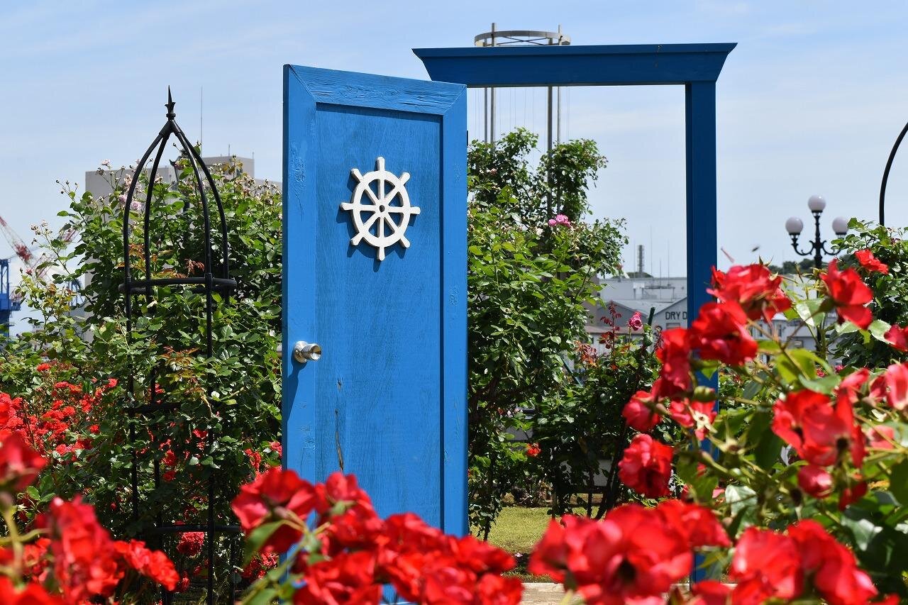 神奈川・横須賀市ヴェルニー公園「秋のローズフェスタ」約1,300株の“秋バラ”が海を望む庭園に｜写真5