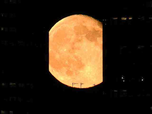 Moon (4)