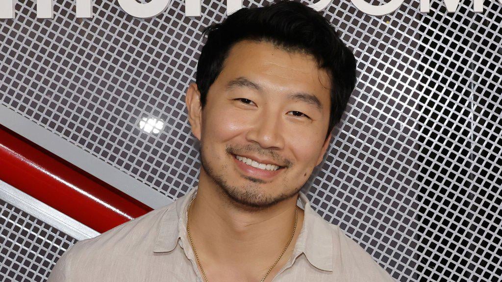 シム・リウ、背景俳優をAIに置き換えることは自身のキャリア開発とは「正反対」だと語る、「芸術は人間であるからこそ芸術である」と主張