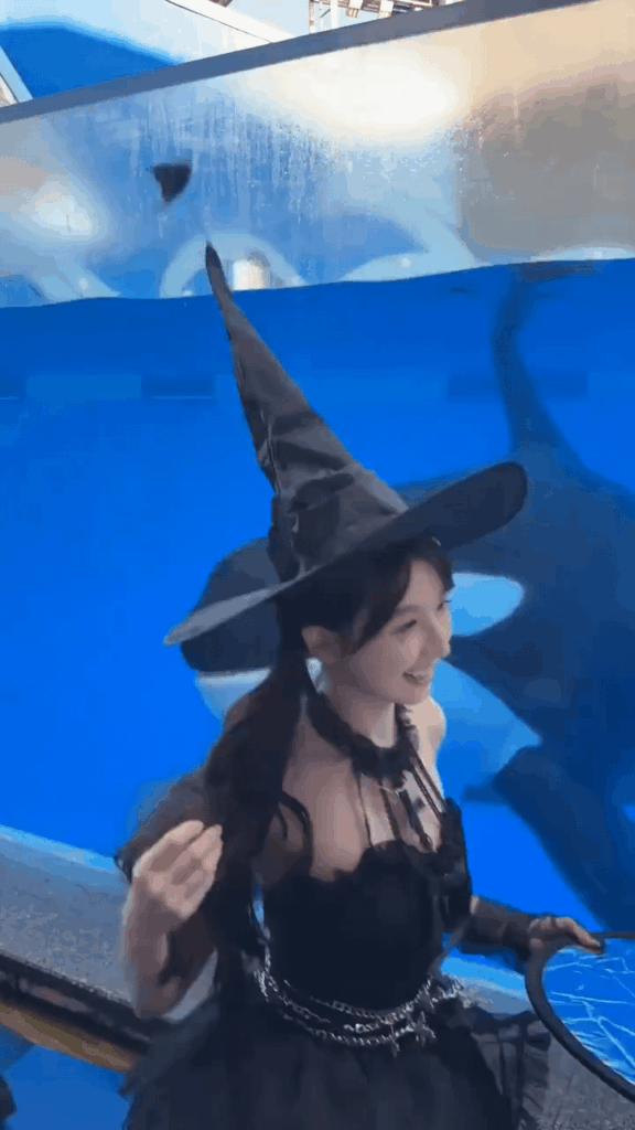 かぶりつきシャチさん