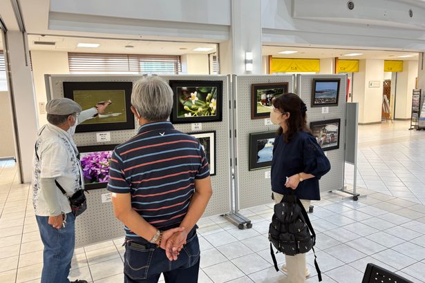来月４日まで写真展　沖縄市、連盟ハイサイ支部