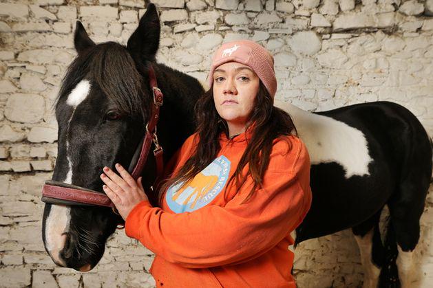 シティウェスト暴動の際にガルダイに突撃していた馬が動物慈善団体によって救出される