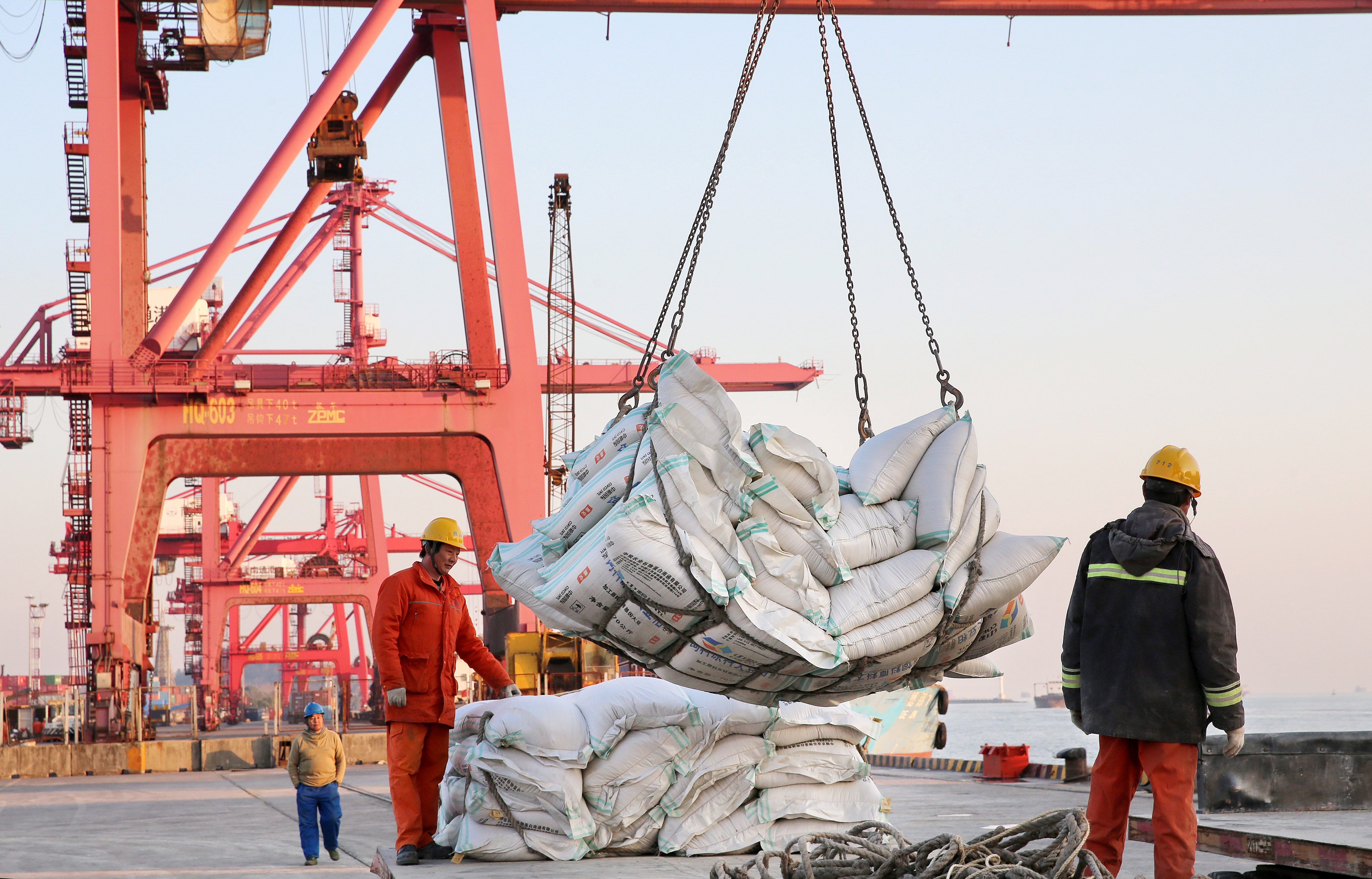 中国の大豆調達に遅れ、ブラジル産高騰で　備蓄放出も＝関係筋