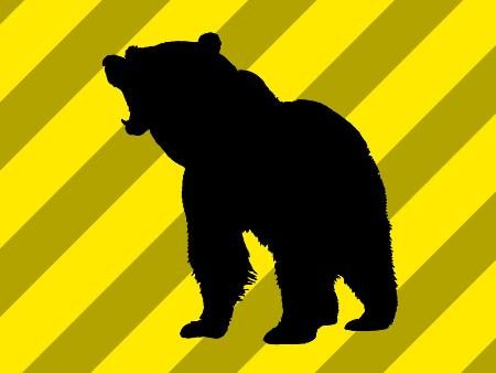 クマに襲われ７０代男性骨折　岐阜・高山、栗拾い中 - 琉球新報デジタル