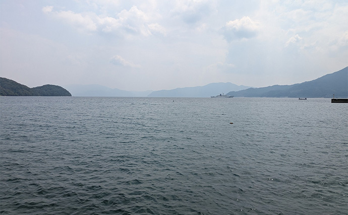 エギングタックルのちょい投げ釣りでシロギス25匹【京都府】潮目狙いで20cm超え良型が連発！