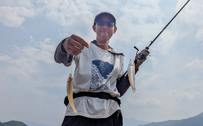 エギングタックルのちょい投げ釣りでシロギス25匹【京都府】潮目狙いで20cm超え良型が連発！