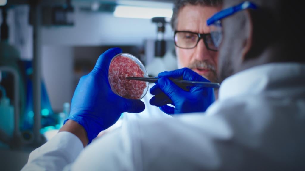 テキサス大学とフロリダ大学による研究で、抗新型コロナウイルスワクチン（メッセンジャーRNA）が肺がんと皮膚がんの患者の生存期間を、ワクチン接種を受けなかった患者に比べて2倍にしたことが示されたことを受けて、米国で広く論争が巻き起こっている。