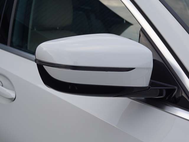 ＢＭＷ 3シリーズツーリング 318i コンフォートPKG・ベージュ革・1オーナー 熊本県の詳細画像 その11