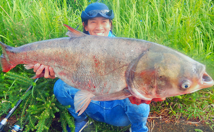 1泊2日で大型ハクレンを狙う【茨城・常陸利根川】メーター超え本命と嬉しい対面! | TSURINEWS 1泊2日で大型ハクレンを狙う【茨城・常陸利根川】メーター超え本命と嬉しい対面!
