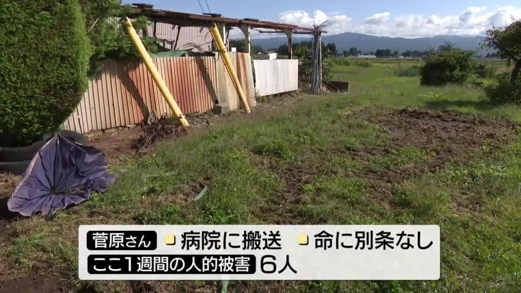 テレビ岩手