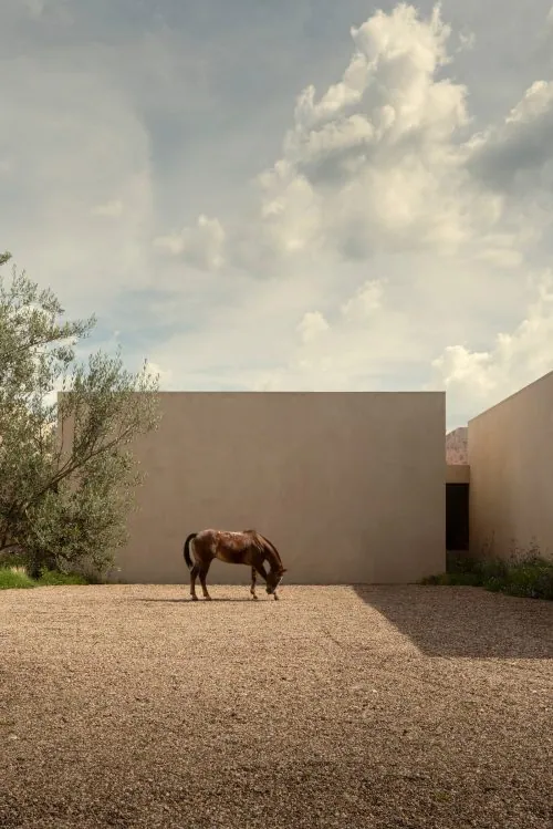 adf-web-magazine-casa-san-francisco-12