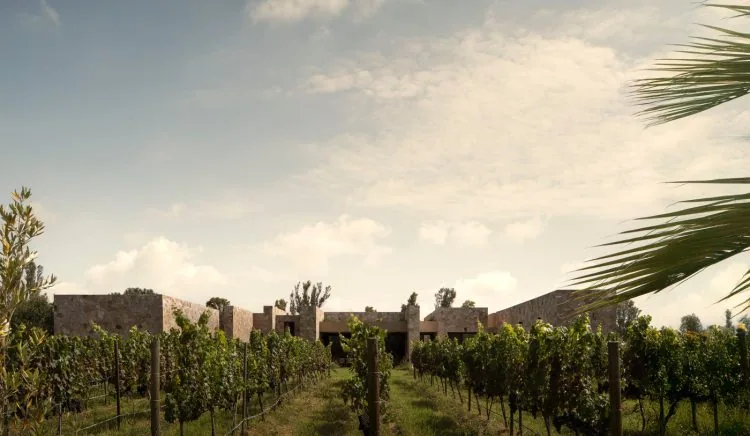 adf-web-magazine-casa-san-francisco-25