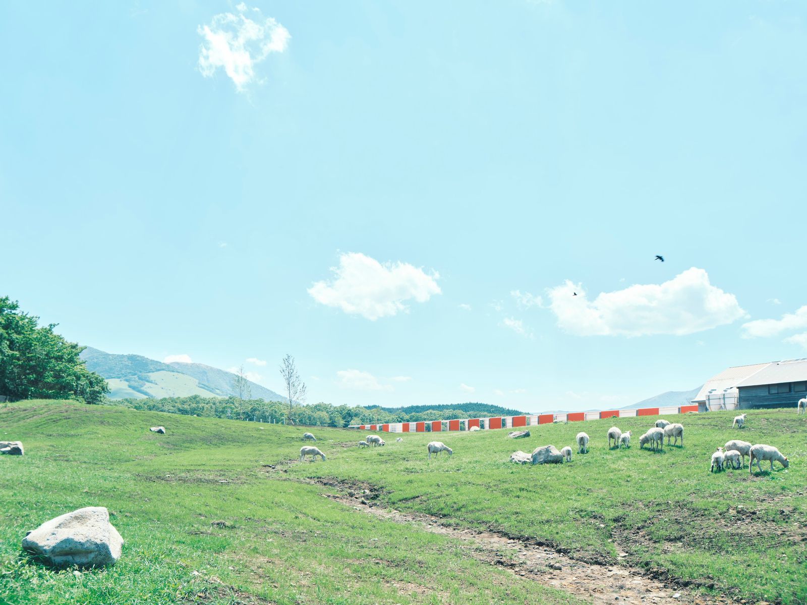 山田紗子 ©Tsujii Shotaro Maeshiro Ayano