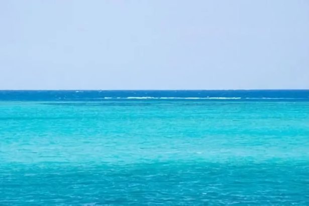 沖縄・糸満市の沖で女性の遺体　Tシャツに半ズボン、50～60代か　海保が身元特定進める