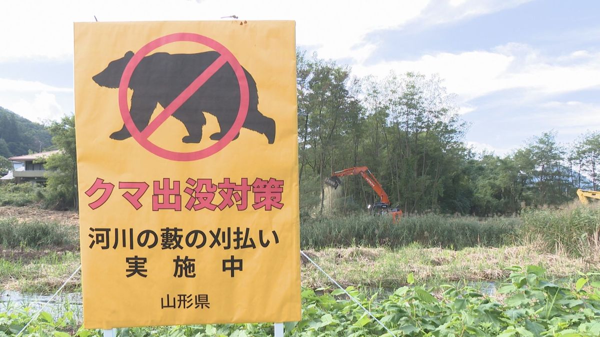 山形県のクマ緊急対策　河川敷のやぶの刈り取り22か所　今週いっぱいで完了見通し