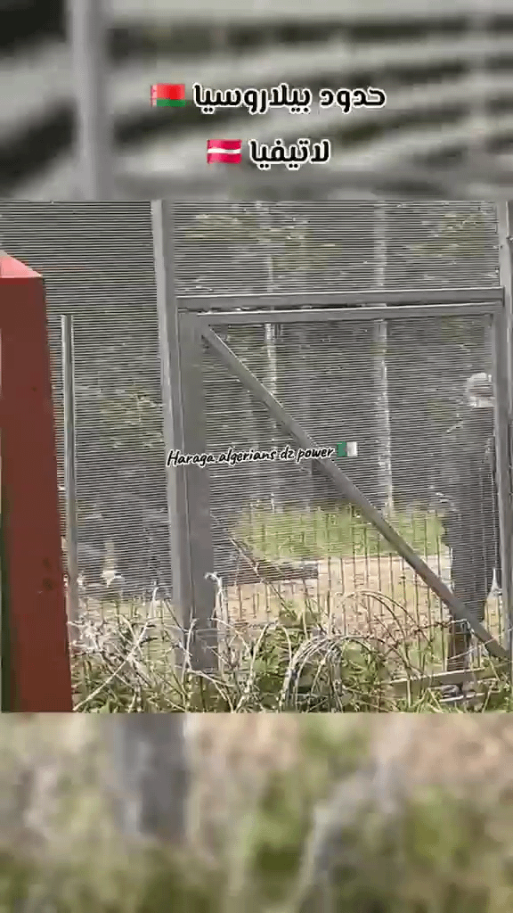 ラトビアからベラルーシに送還される不法移民