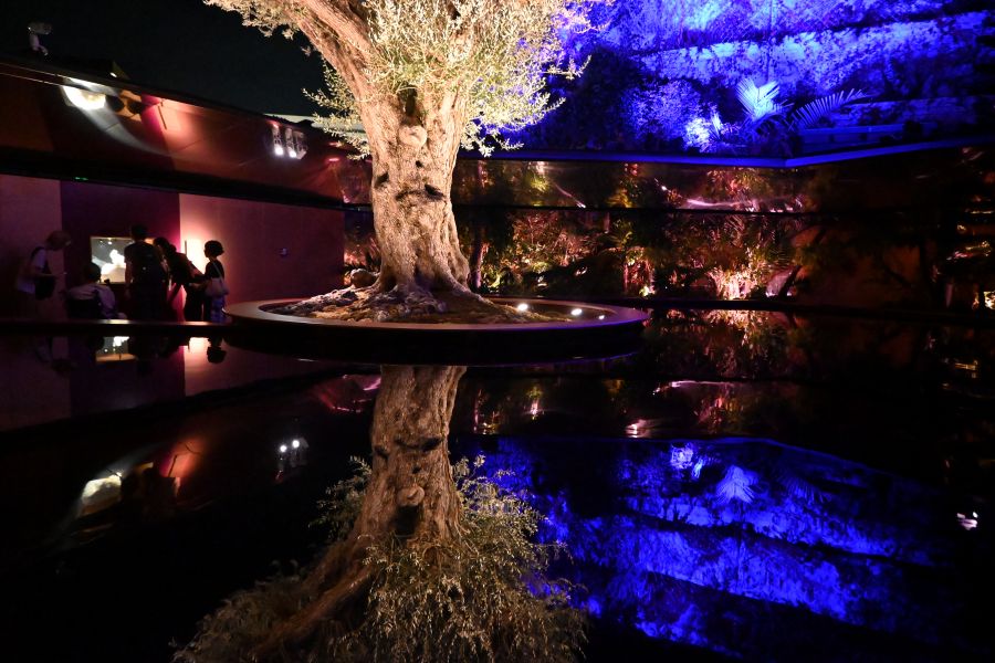 樹齢1000年を超えるオリーブの木が出迎える庭園は夜がすごい（9月10日／大阪・関西万博）