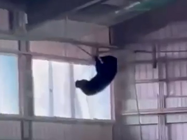 共有