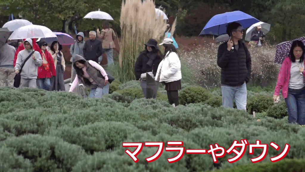 山梨放送