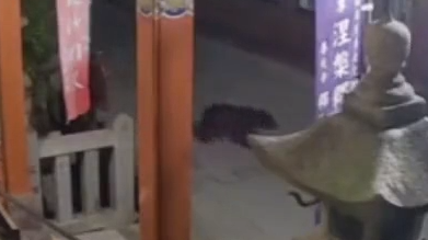 共有