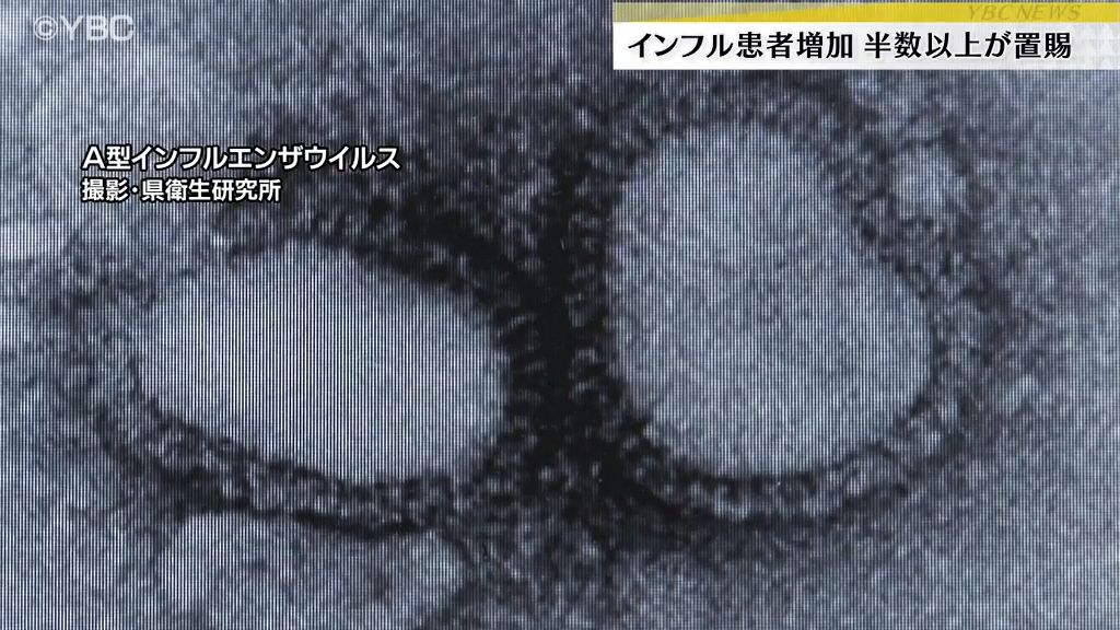 共有