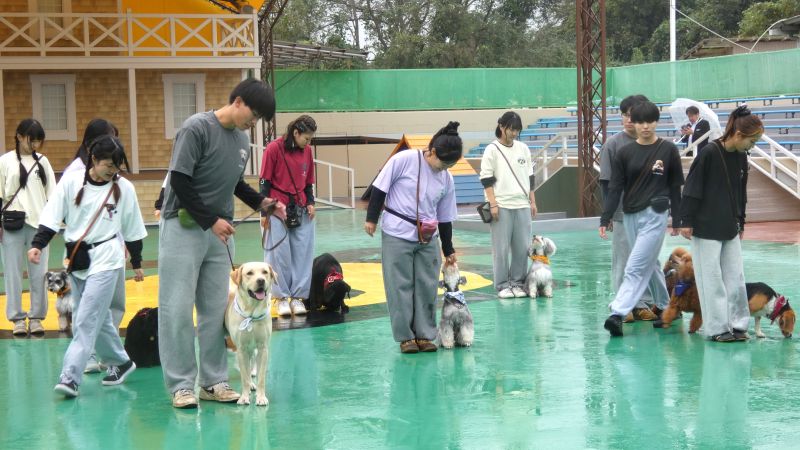 わんわんランドで愛犬と学園祭 つくば国際ペット専門学校