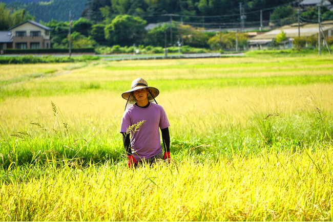 佐賀県初の自然共生サイト認定里山から「自然共生サイト米」を初出荷【2030年ネイチャーポジティブの実現に向けて】 | 鹿児島・九州プレスリリース | 生活情報 | くらし