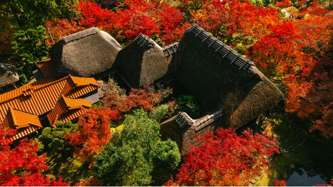 【佐賀県】 “受け継がれる美。語り継がれる秋。” 国の名勝 「九年庵」 秋の一般公開を開催します | 鹿児島・九州プレスリリース | 生活情報 | くらし
