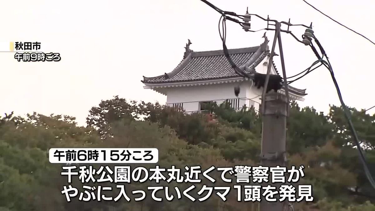 秋田市中心部の千秋公園にもクマ…立ち入りを規制