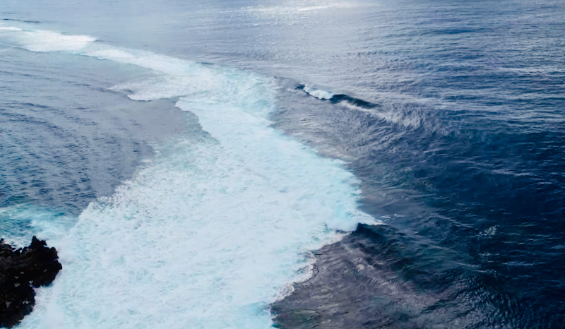 スクリーンショット 2025-10-12 17.12.52